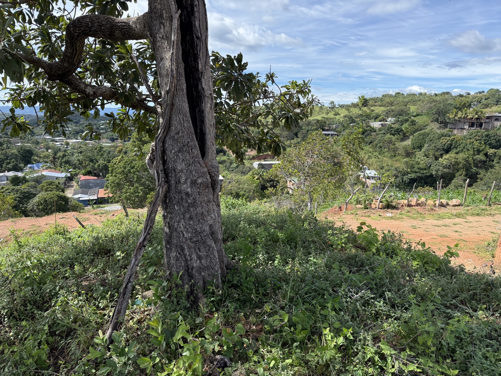 Terreno en Lomas de California con vista al valle